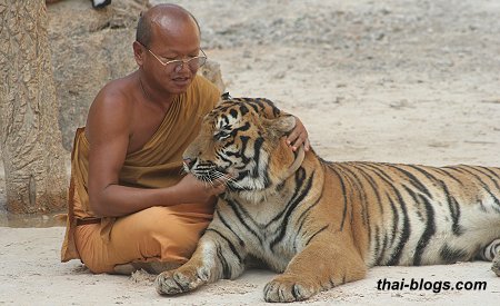 A monk with the tiger